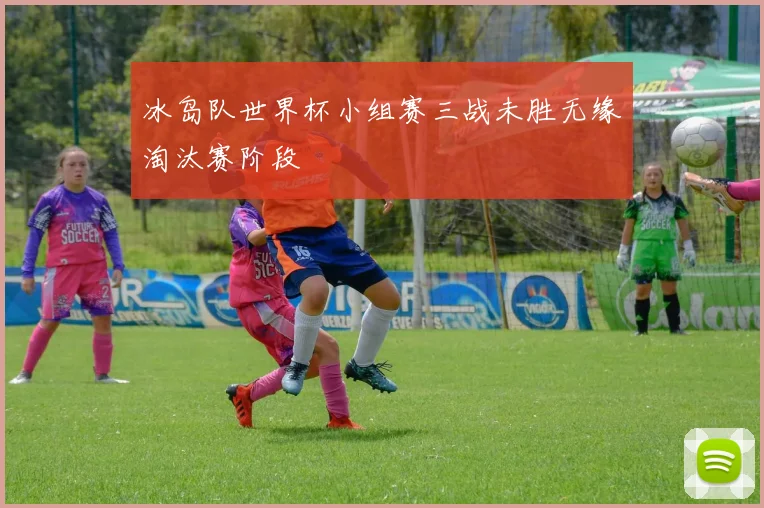 冰岛队世界杯小组赛三战未胜无缘淘汰赛阶段