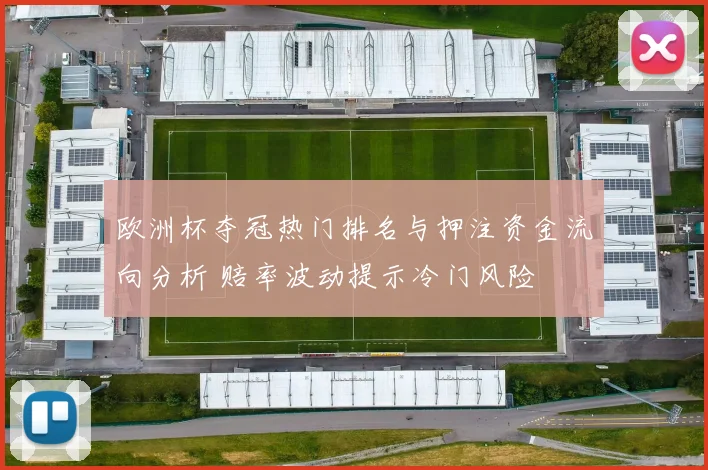 欧洲杯夺冠热门排名与押注资金流向分析 赔率波动提示冷门风险