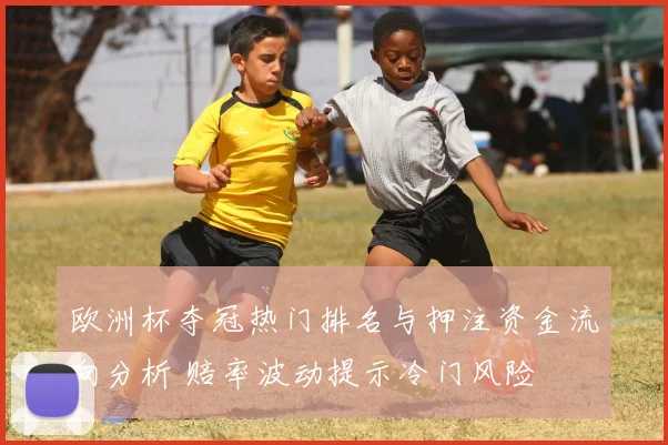 欧洲杯夺冠热门排名与押注资金流向分析 赔率波动提示冷门风险